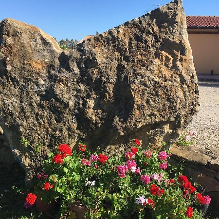Agriturismo Sechi Campanedda Екстериор снимка