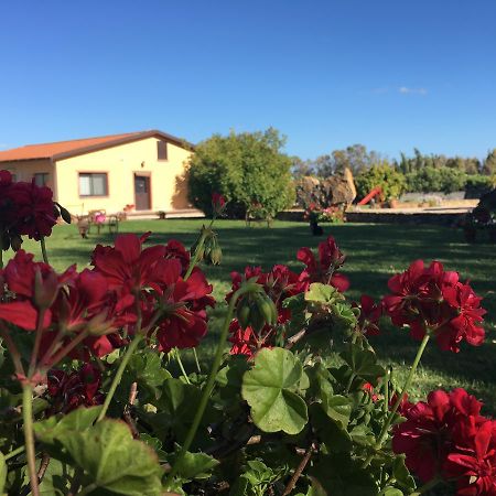 Agriturismo Sechi Campanedda Екстериор снимка