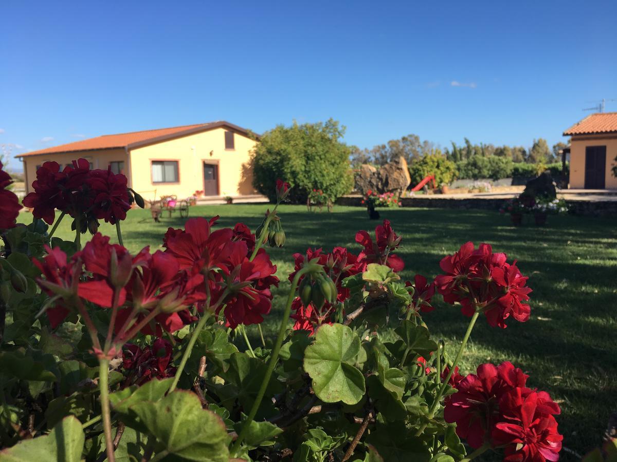 Agriturismo Sechi Campanedda Екстериор снимка